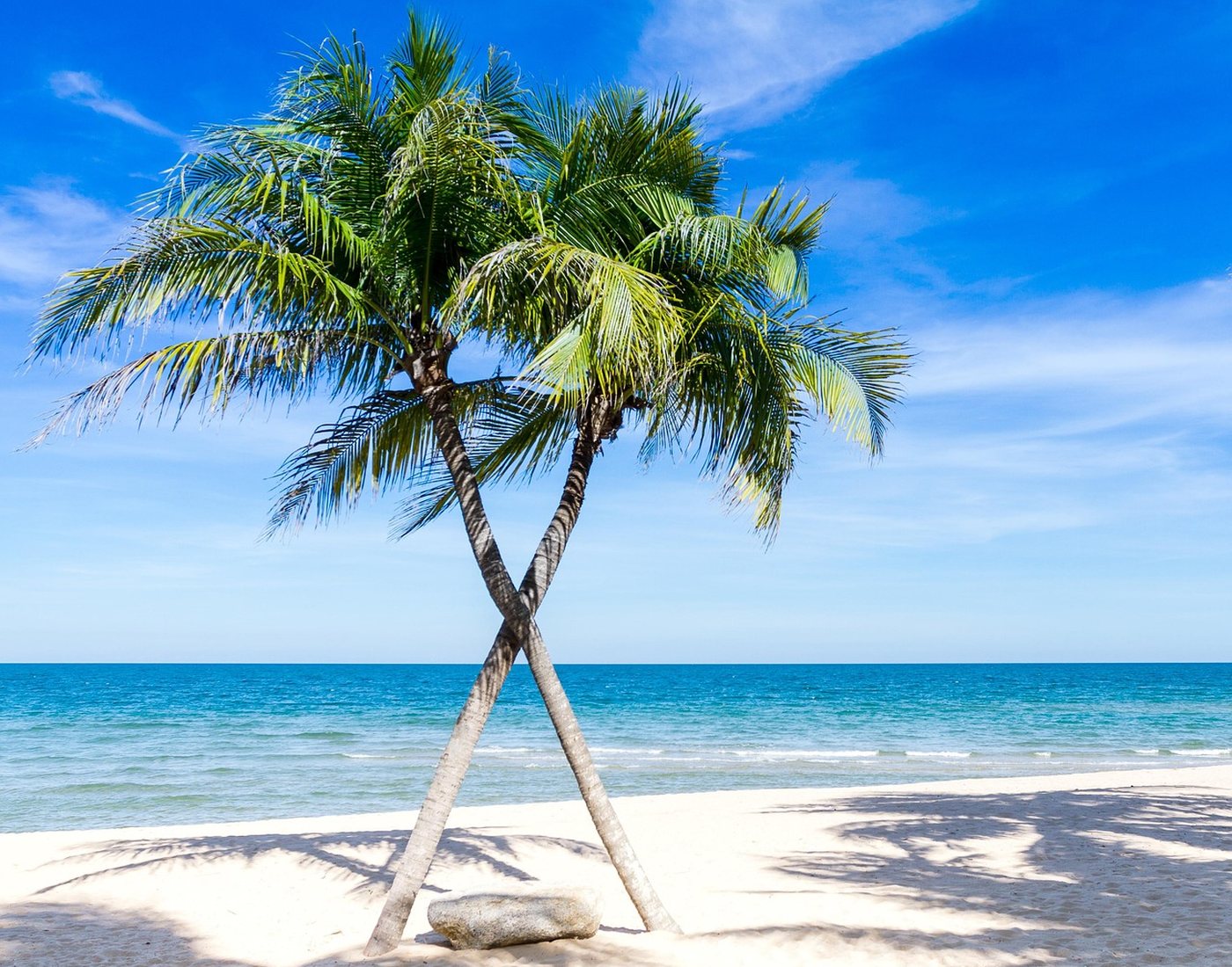 Plage bordée de palmiers sous le soleil de l’océan Indien